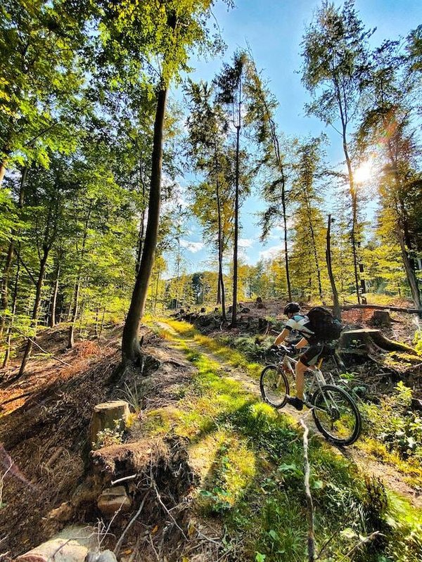 Découvrez les joies du cyclotourisme